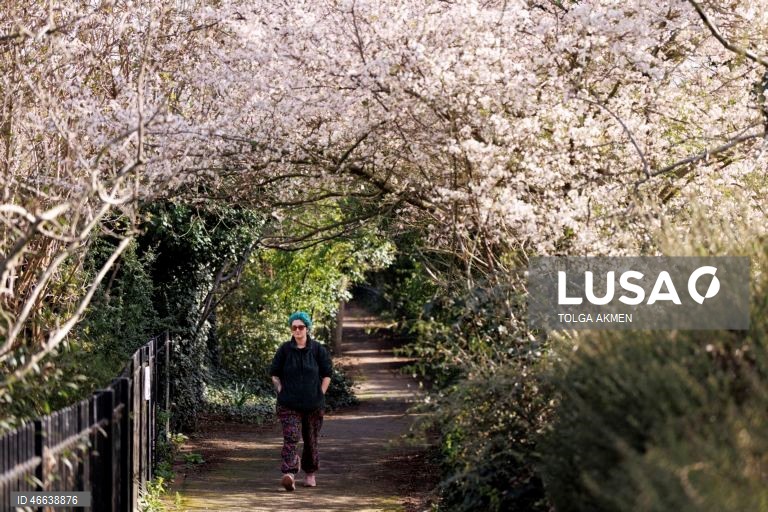 Reino Unido: Tempo primaveril em Londres