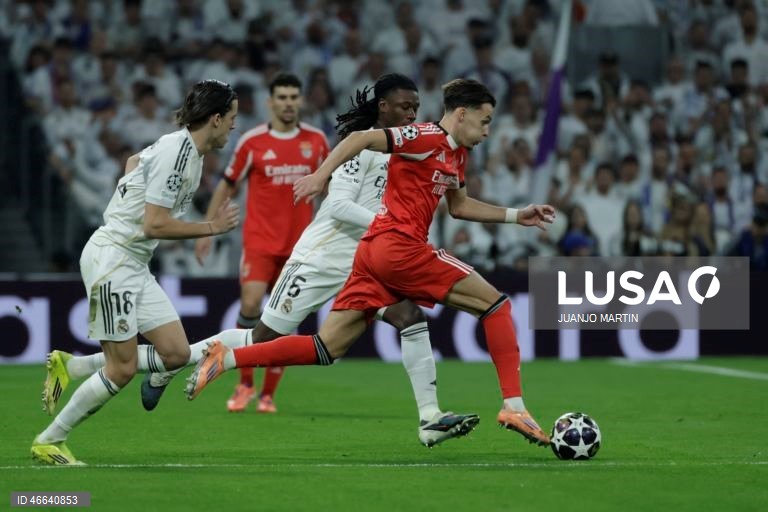 Futebol: Liga dos Campeões: Real Madrid vs Benfica