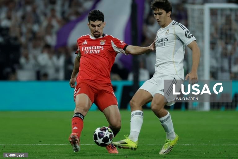 Futebol: Liga dos Campeões: Real Madrid vs Benfica