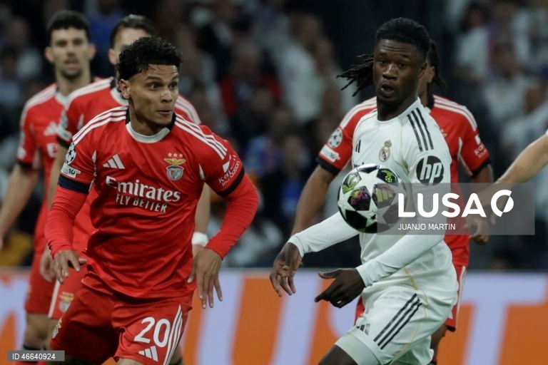 Futebol: Liga dos Campeões: Real Madrid vs Benfica