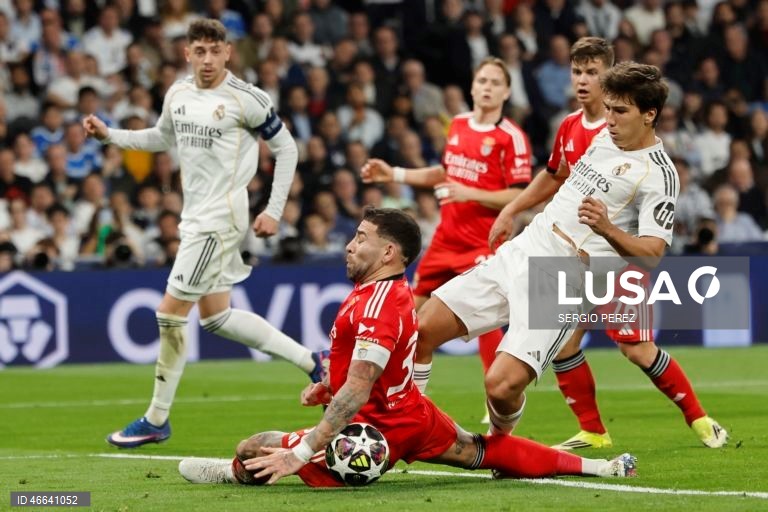 Futebol: Liga dos Campeões: Real Madrid vs Benfica