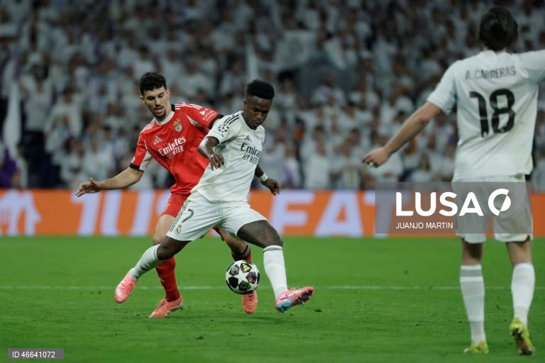 Futebol: Liga dos Campeões: Real Madrid vs Benfica