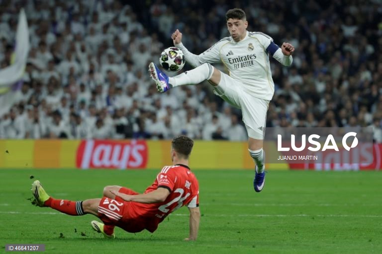 Futebol: Liga dos Campeões: Real Madrid vs Benfica