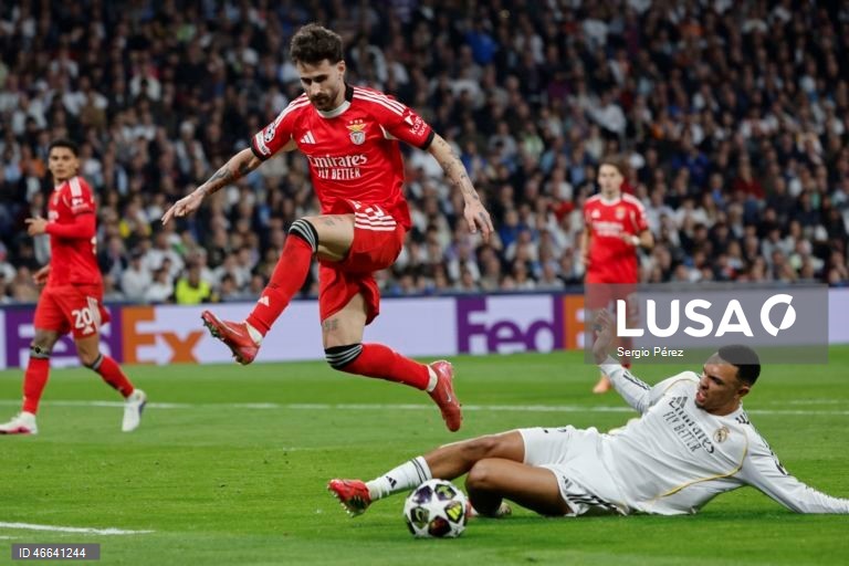 Futebol: Liga dos Campeões: Real Madrid vs Benfica