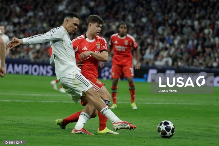Futebol: Liga dos Campeões: Real Madrid vs Benfica