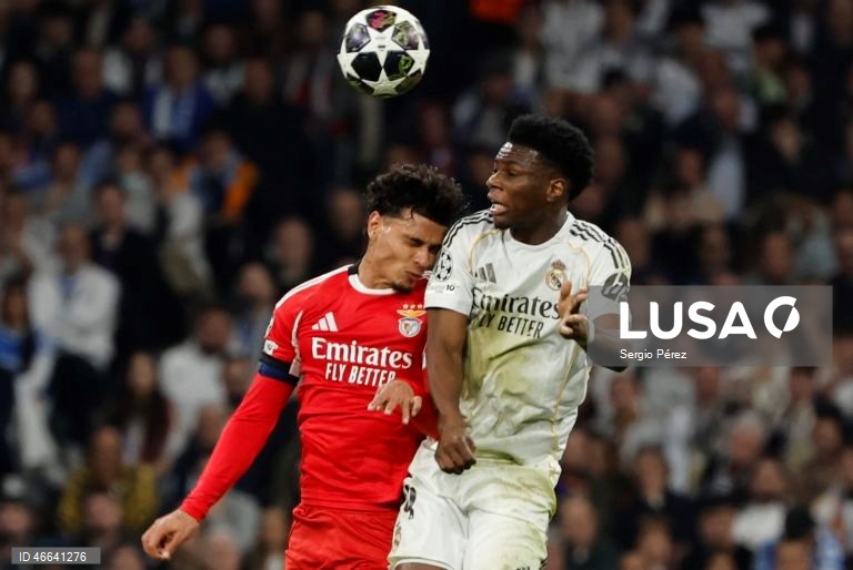 Futebol: Liga dos Campeões: Real Madrid vs Benfica