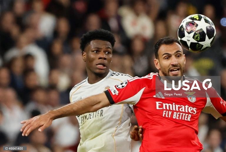 Futebol: Liga dos Campeões: Real Madrid vs Benfica