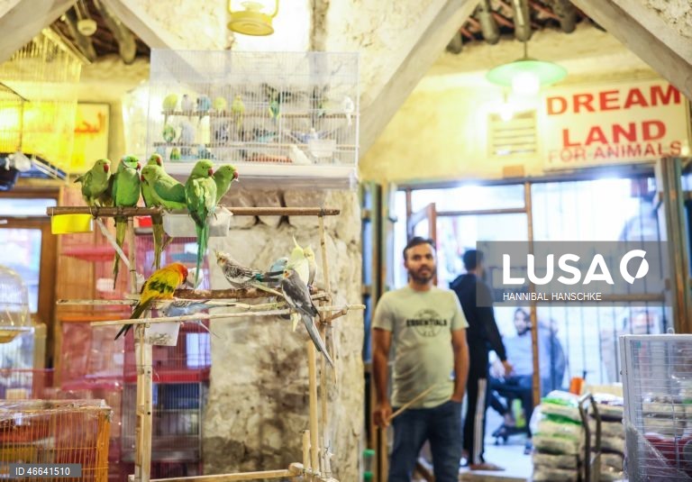 Qatar: Mercado de aves no mercado Souq Waqif, em Doha