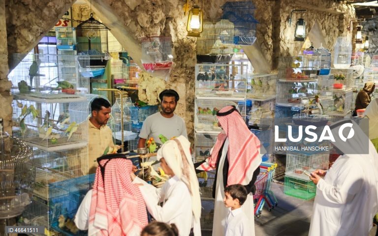 Qatar: Mercado de aves no mercado Souq Waqif, em Doha