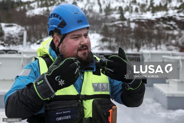 Processamento de pescado na empresa Leroy na ilha de Hitra na Noruega