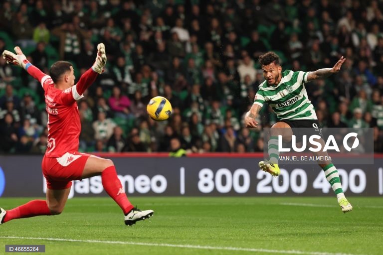 I Liga: Sporting vs Estoril-Praia