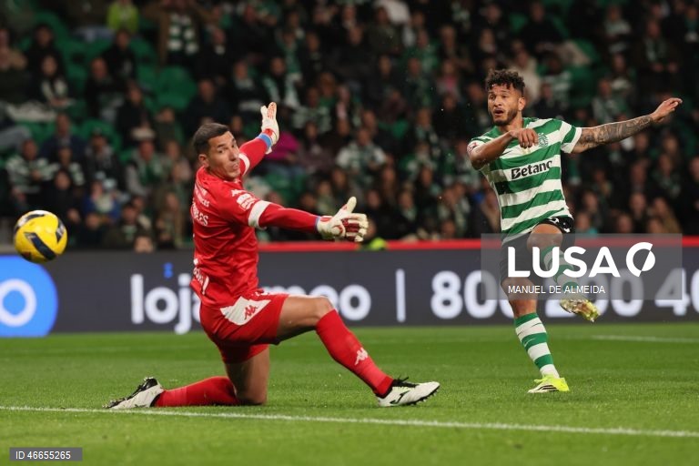 I Liga: Sporting vs Estoril-Praia
