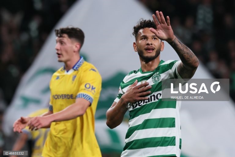I Liga: Sporting vs Estoril-Praia