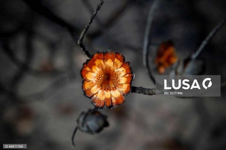 A 03 de março comemora-se o Dia Mundial da Vida Selvagem