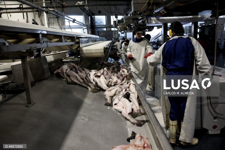 O Conselho Norueguês dos Produtos do Mar (NSC), entidade pública responsável pela promoção interacional dos produtos do mar do país, vai investir em Portugal até cerca de 800.000 euros este ano, mesmo perante a diminuição da produção, afetada pelas quotas, em Ålesund, Noruega, 27 de fevereiro de 2026. (ACOMPANHA TEXTO DA LUSA DO DIA 04 MARÇO DE 2026). CARLOS M. ALMEIDA/LUSA