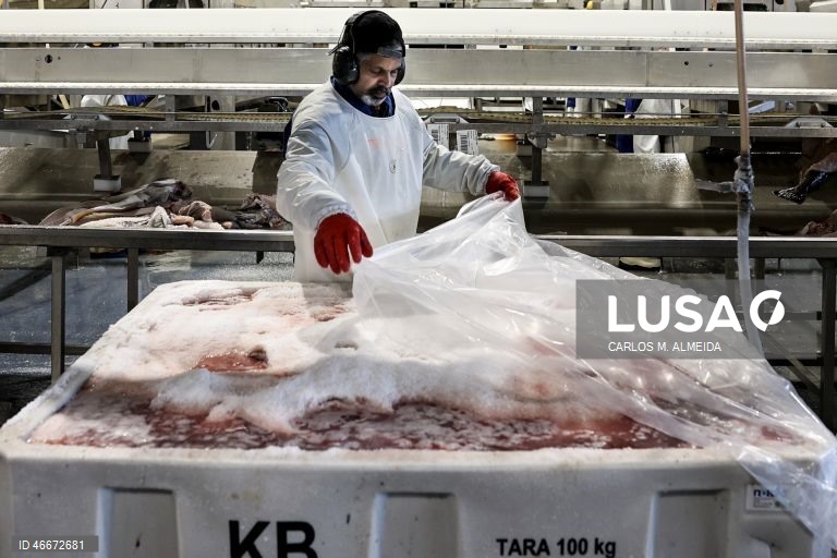 O Conselho Norueguês dos Produtos do Mar (NSC), entidade pública responsável pela promoção interacional dos produtos do mar do país, vai investir em Portugal até cerca de 800.000 euros este ano, mesmo perante a diminuição da produção, afetada pelas quotas, em Ålesund, Noruega, 27 de fevereiro de 2026. (ACOMPANHA TEXTO DA LUSA DO DIA 04 MARÇO DE 2026). CARLOS M. ALMEIDA/LUSA