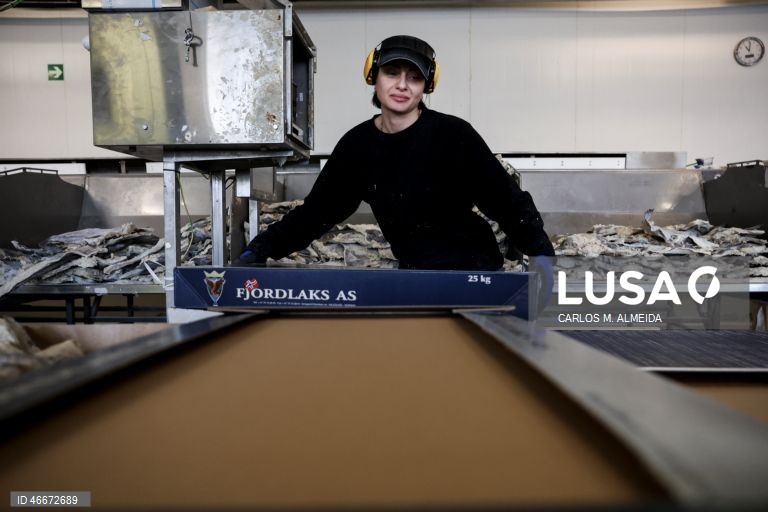 O Conselho Norueguês dos Produtos do Mar (NSC), entidade pública responsável pela promoção interacional dos produtos do mar do país, vai investir em Portugal até cerca de 800.000 euros este ano, mesmo perante a diminuição da produção, afetada pelas quotas, em Ålesund, Noruega, 27 de fevereiro de 2026. (ACOMPANHA TEXTO DA LUSA DO DIA 04 MARÇO DE 2026). CARLOS M. ALMEIDA/LUSA