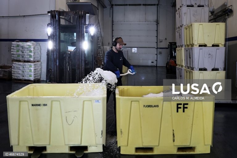 Fábrica da Fjordlaks, em Ålesund, Noruega, 27 de fevereiro de 2026. Antes de chegar à mesa dos portugueses, o bacalhau da Noruega tem uma grande viagem, que começa no Atlântico. Os barcos de pesca, de média dimensão, andam no mar três ou quatro dias e, mesmo em más fainas, chegam a terra com umas quatro toneladas de bacalhau. (ACOMPANHA TEXTO DA LUSA DO DIA 04 MARÇO DE 2026). CARLOS M. ALMEIDA/LUSA