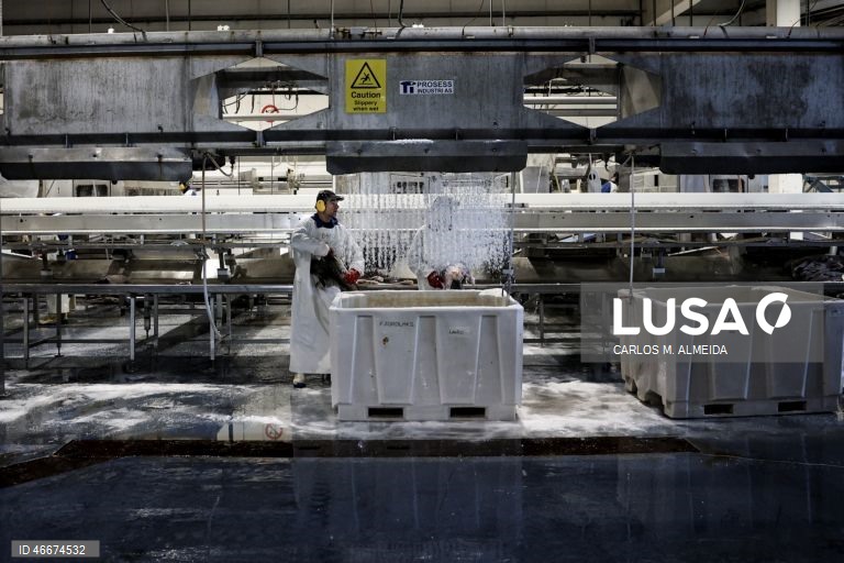 Fábrica da Fjordlaks, em Ålesund, Noruega, 27 de fevereiro de 2026. Antes de chegar à mesa dos portugueses, o bacalhau da Noruega tem uma grande viagem, que começa no Atlântico. Os barcos de pesca, de média dimensão, andam no mar três ou quatro dias e, mesmo em más fainas, chegam a terra com umas quatro toneladas de bacalhau. (ACOMPANHA TEXTO DA LUSA DO DIA 04 MARÇO DE 2026). CARLOS M. ALMEIDA/LUSA