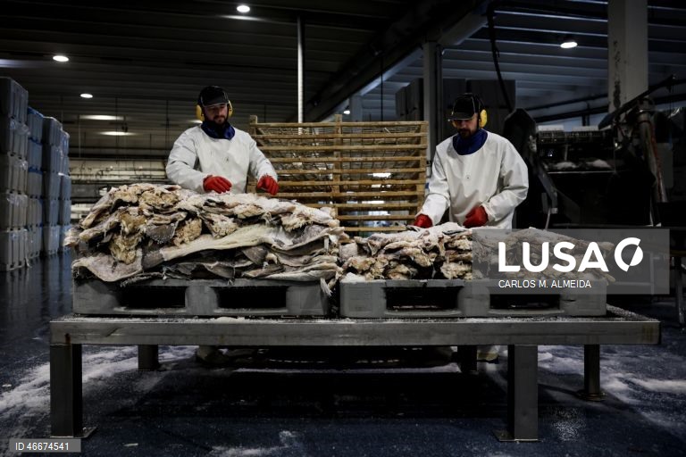 Fábrica da Fjordlaks, em Ålesund, Noruega, 27 de fevereiro de 2026. Antes de chegar à mesa dos portugueses, o bacalhau da Noruega tem uma grande viagem, que começa no Atlântico. Os barcos de pesca, de média dimensão, andam no mar três ou quatro dias e, mesmo em más fainas, chegam a terra com umas quatro toneladas de bacalhau. (ACOMPANHA TEXTO DA LUSA DO DIA 04 MARÇO DE 2026). CARLOS M. ALMEIDA/LUSA