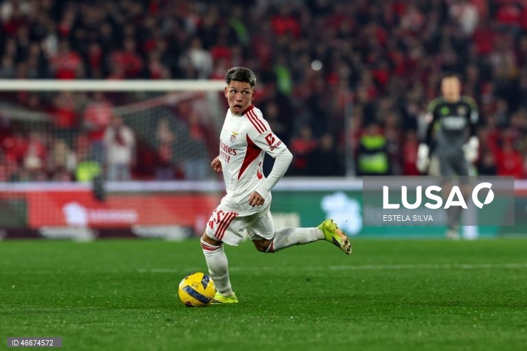 I Liga: Gil Vicente vs Benfica