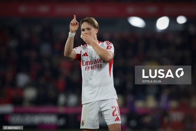 I Liga: Gil Vicente vs Benfica