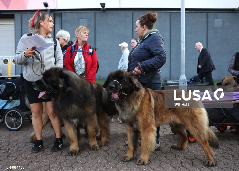 Reino Unido: Dia de abertura da exposição canina Crufts 2026, em Birmingham