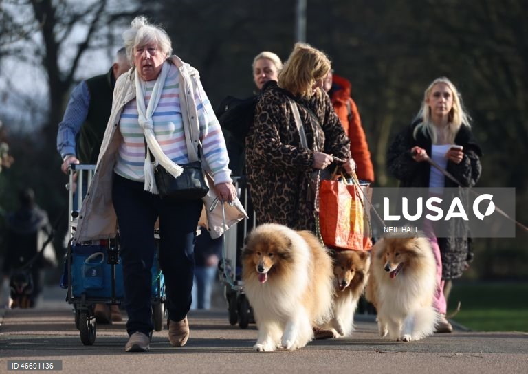 Reino Unido: Dia de abertura da exposição canina Crufts 2026, em Birmingham