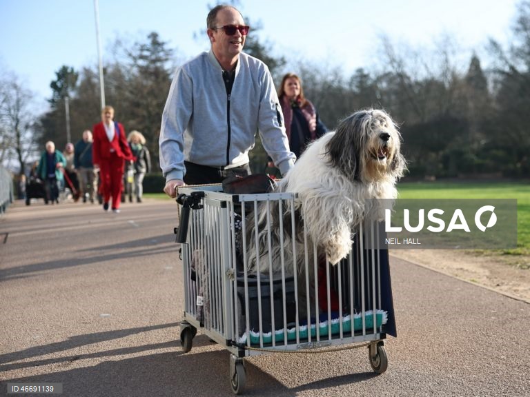 Reino Unido: Dia de abertura da exposição canina Crufts 2026, em Birmingham