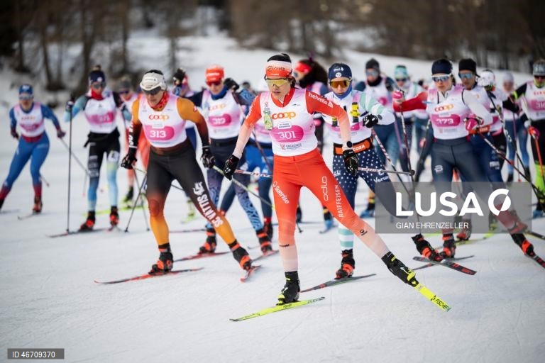 Esquiadores competem na 56.ª maratona anual de esqui Engadin, de Maloja a S-Chanf, em Maloja, Suíça.