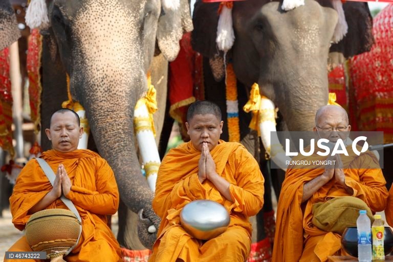 Tailândia: Monges budistas realizam bençãos no Dia Nacional do Elefante