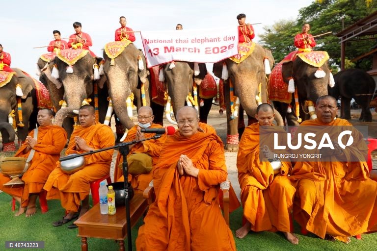 Tailândia: Monges budistas realizam bençãos no Dia Nacional do Elefante