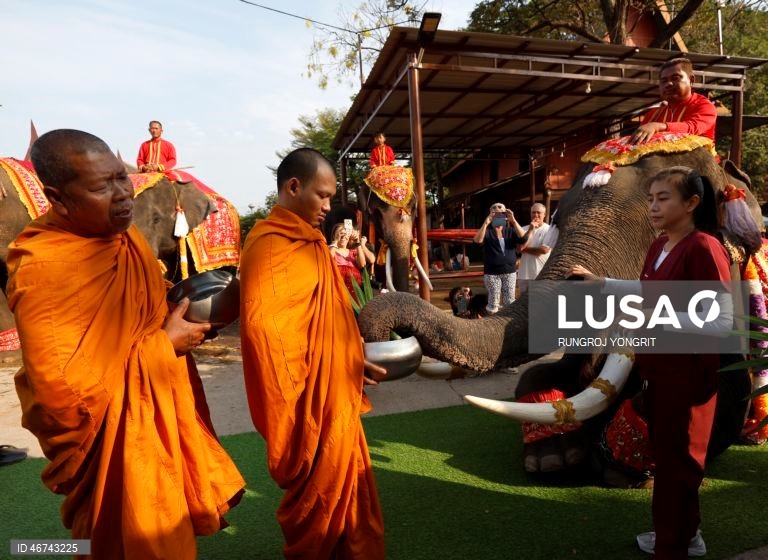 Tailândia: Monges budistas realizam bençãos no Dia Nacional do Elefante