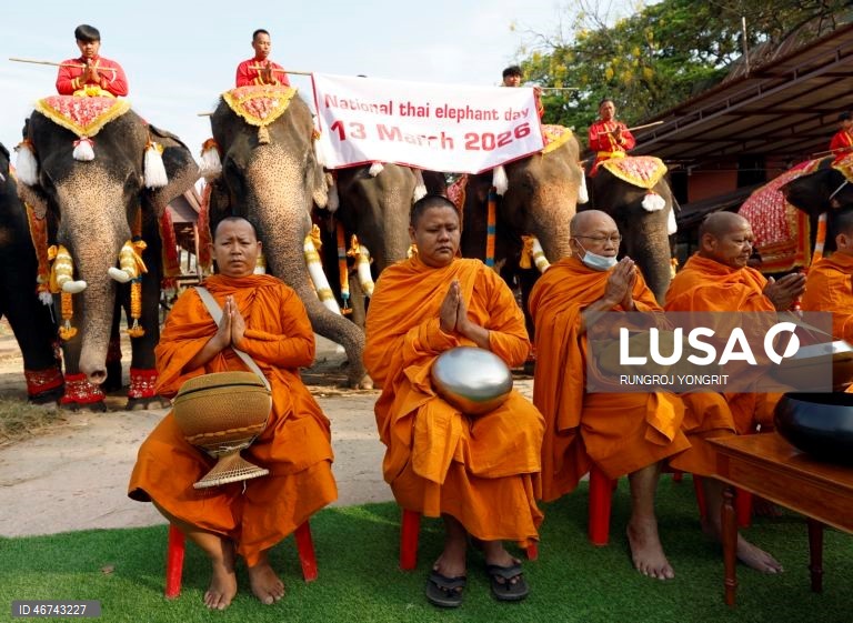 Tailândia: Monges budistas realizam bençãos no Dia Nacional do Elefante