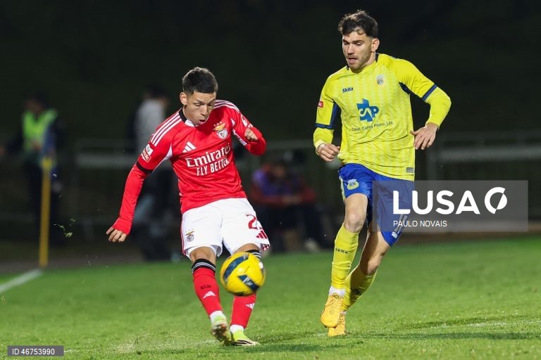 O Benfica visitou e venceu hoje o Arouca por 2-1, com uma reviravolta concretizada pelo avançado sérvio Ivanovic, aos 90+6 minutos, em encontro da 26.ª jornada da I Liga portuguesa de futebol.