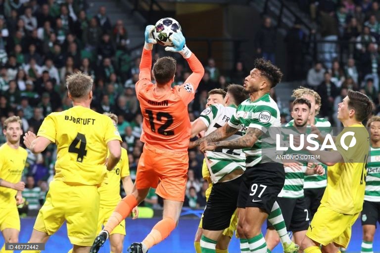 Futebol: Liga dos Campeões: Sporting vs Bodø/Glimt