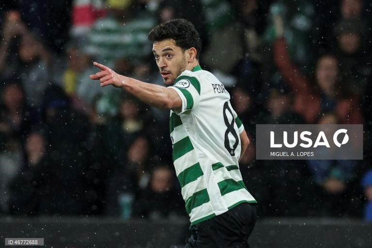 Futebol: Liga dos Campeões: Sporting vs Bodø/Glimt