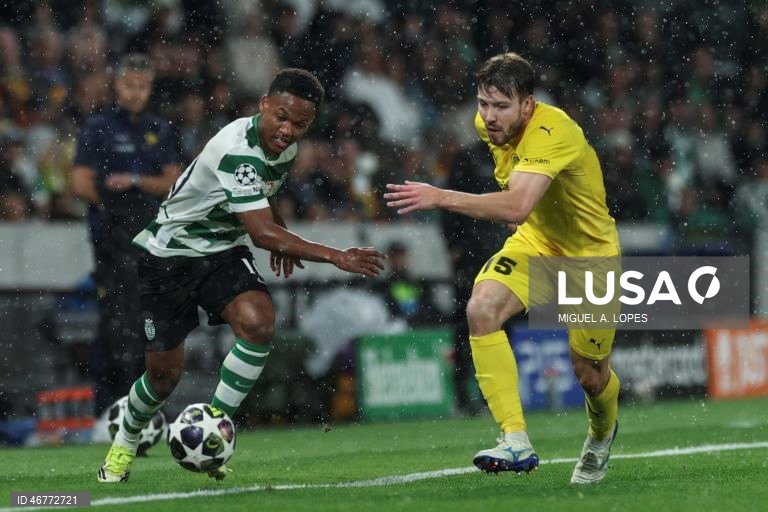 Futebol: Liga dos Campeões: Sporting vs Bodø/Glimt