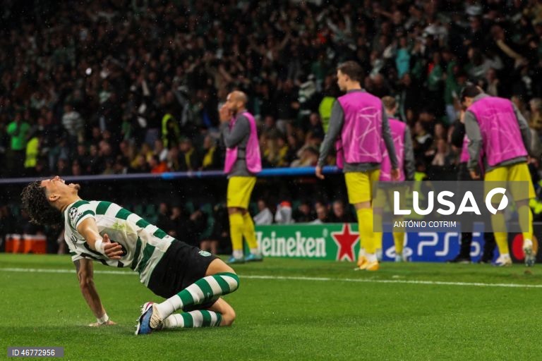 Futebol: Liga dos Campeões: Sporting vs Bodø/Glimt