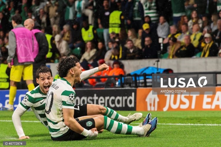 Futebol: Liga dos Campeões: Sporting vs Bodø/Glimt