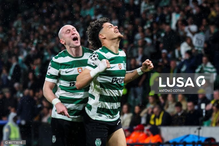Futebol: Liga dos Campeões: Sporting vs Bodø/Glimt