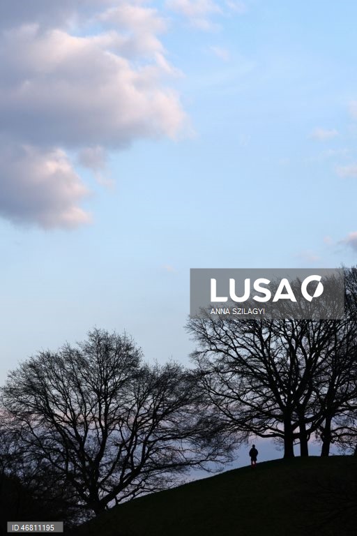 Alemanha: Cerejeiras em flor em Munique