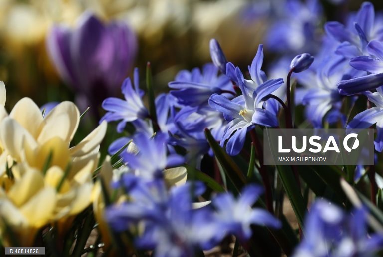 Rússia: Dia de Primavera em Moscovo