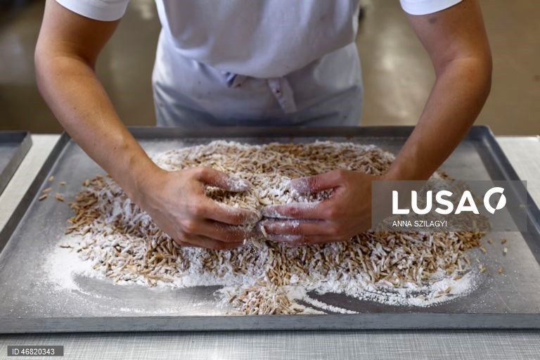 Alemanha: Doçaria de Páscoa em Munique