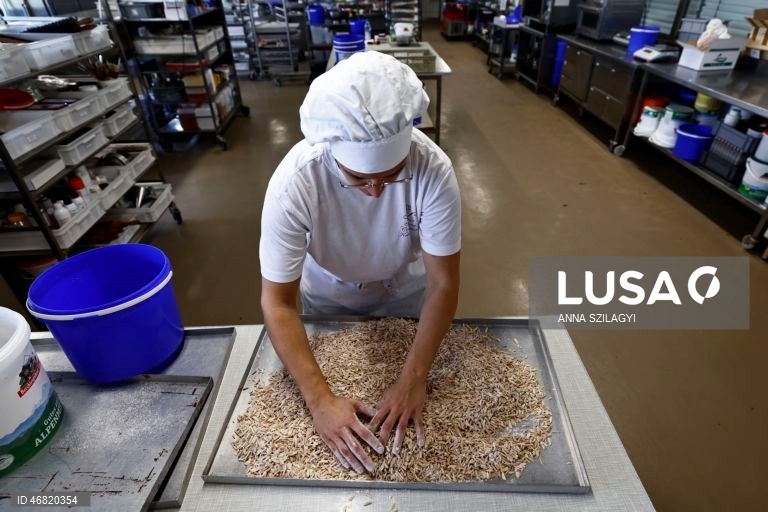 Alemanha: Doçaria de Páscoa em Munique