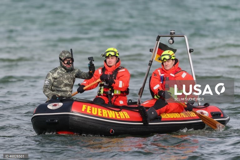 Uma baleia encontra-se encalhada na costa do Mar Báltico, em Timmendorfer Strand na Alemanha