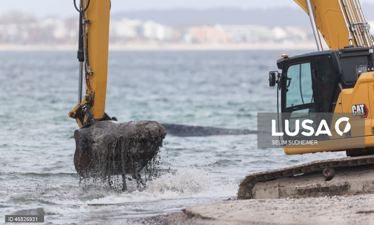 Uma baleia encontra-se encalhada na costa do Mar Báltico, em Timmendorfer Strand na Alemanha