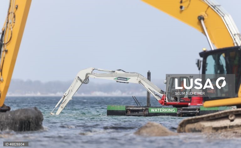 Uma baleia encontra-se encalhada na costa do Mar Báltico, em Timmendorfer Strand na Alemanha
