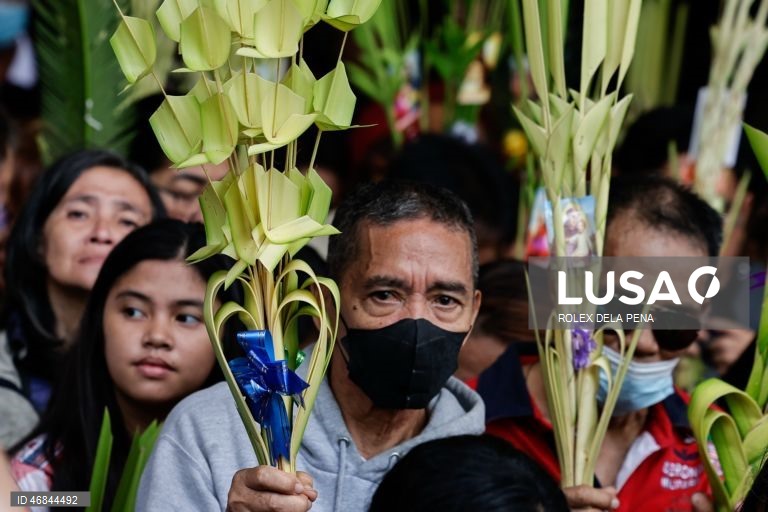 Celebrações do Domingo de Ramos pelo mundo