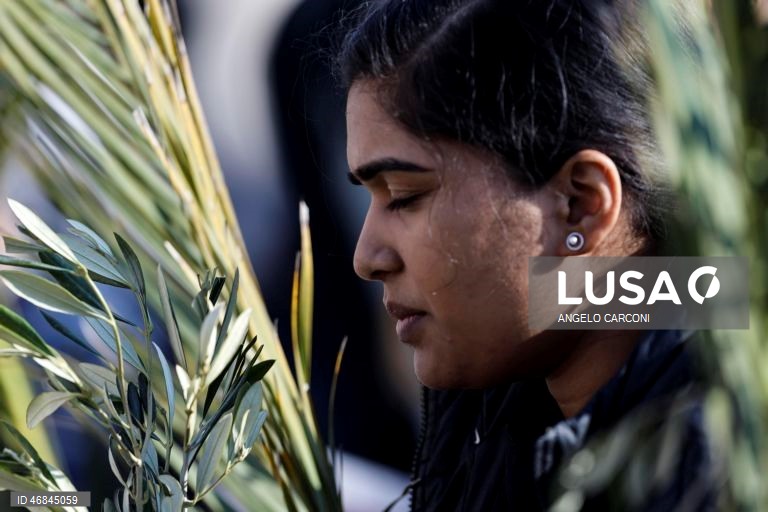 Celebrações do Domingo de Ramos pelo mundo